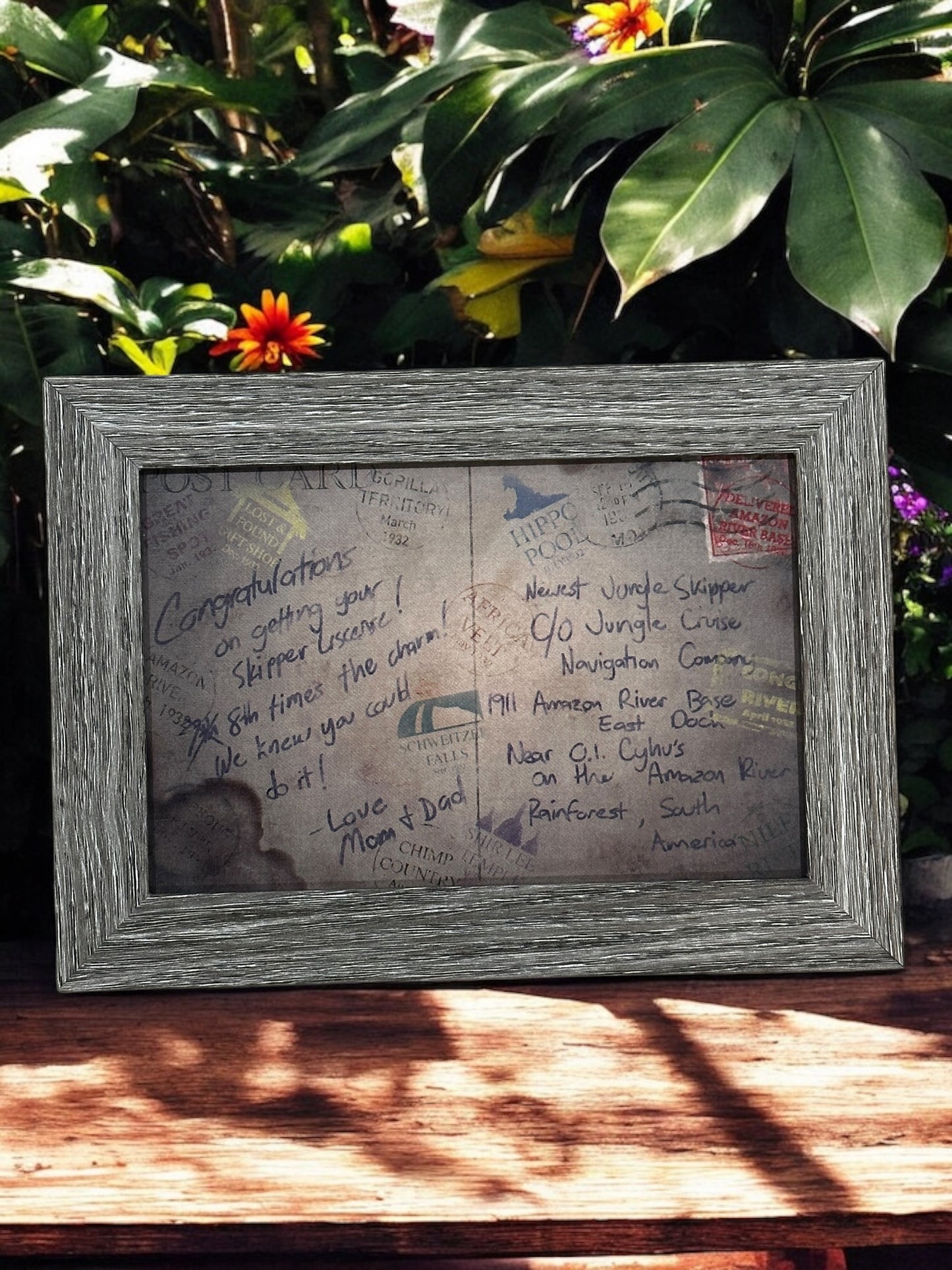 Jungle Cruise Skipper Graduation Postcard
