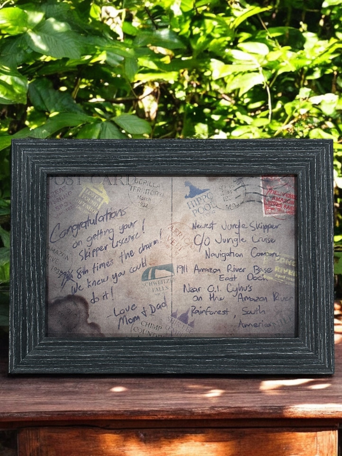 Jungle Cruise Skipper Graduation Postcard
