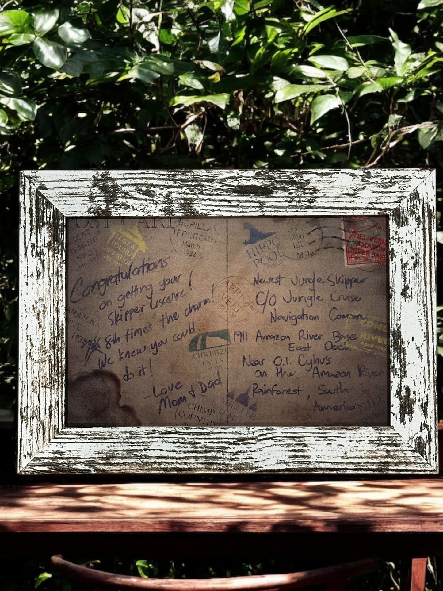 Jungle Cruise Skipper Graduation Postcard
