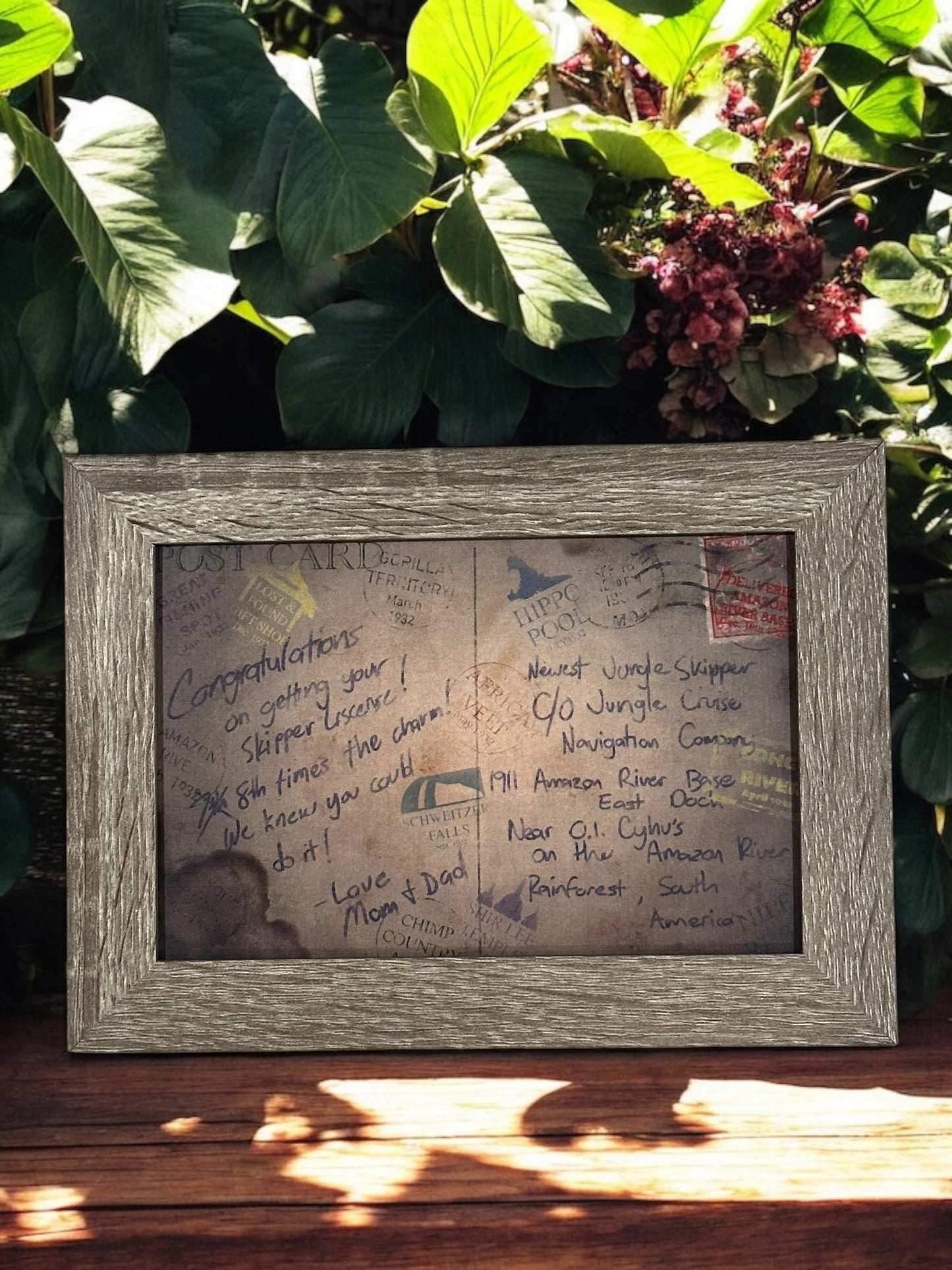 Jungle Cruise Skipper Graduation Postcard