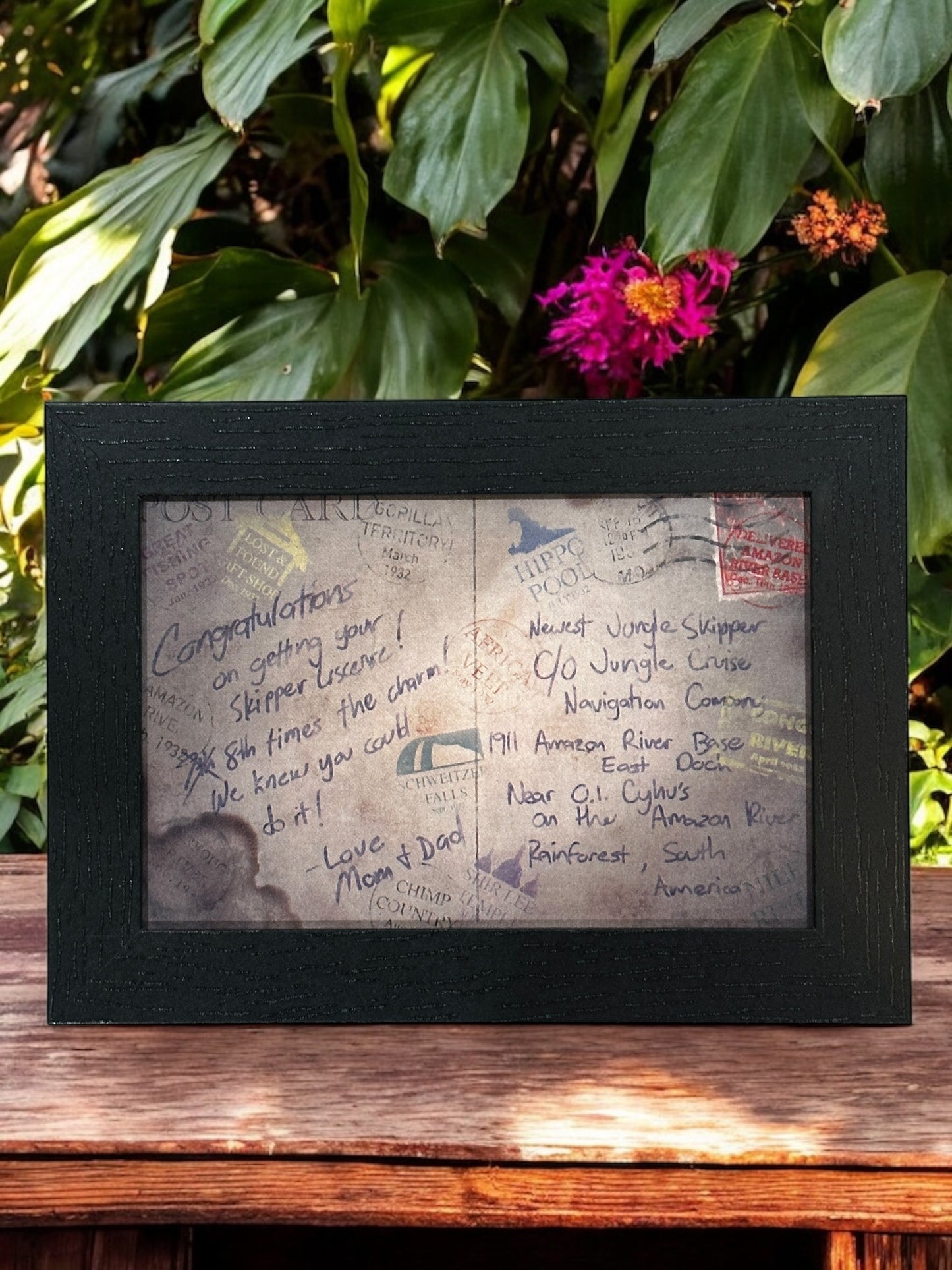 Jungle Cruise Skipper Graduation Postcard